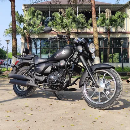 Loncin Vintage Street Motorcycles: 150cc, 250cc, 300cc Gasoline Touring Motorcycles - High Quality Retail from Factory