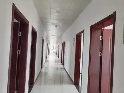 Burdock extract powder arctiin 10% 20% 30% HPLC