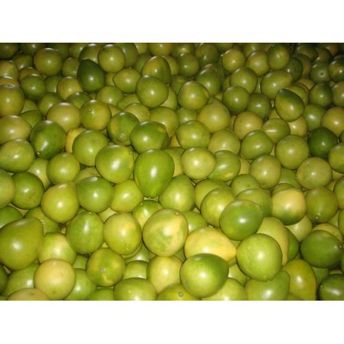 ভাল মানের গরম বিক্রি মধু pomelo