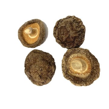 Bulk Ad Vegetable Champignon Dehydrated Shitake