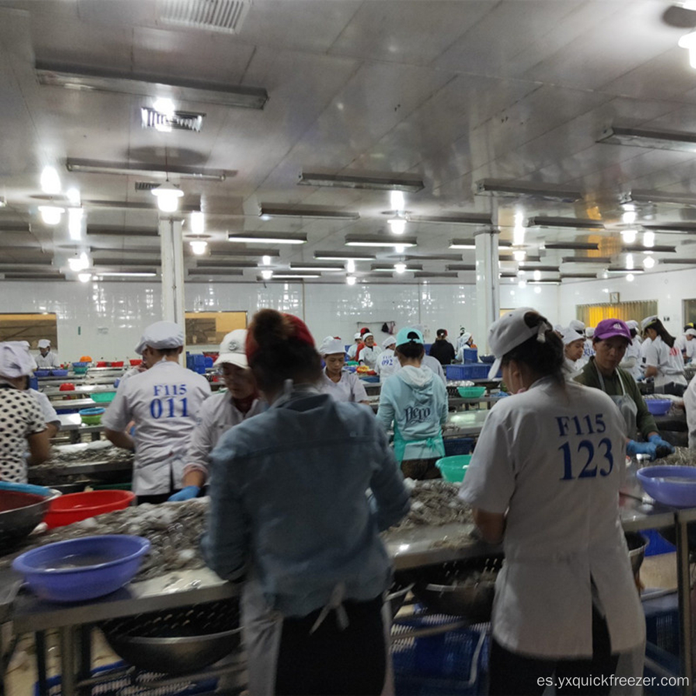 Línea de producción completa automática para mariscos.