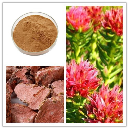 Natural Antioxidant /Natural Medicine /Personal Care & beauty / Depression & insomnia & stress / Immune Support Rhodiola Rosea E