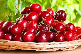 Hot selling Sour Cherry Extract