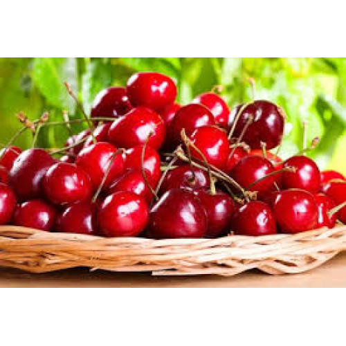 Hot selling Sour Cherry Extract