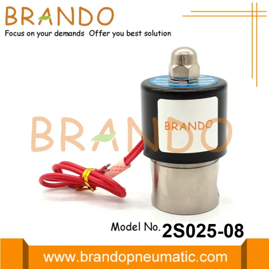 2S025-08 Stainless Steel Solenoid Valve 1/4'' 24V 220V