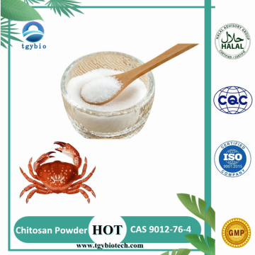 Suministro 100% soluble en agua Chitosan Powder CAS 9012-76-4