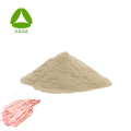 Supplement Shark Bone Extract Chondroitines Sulfate 90% Powder