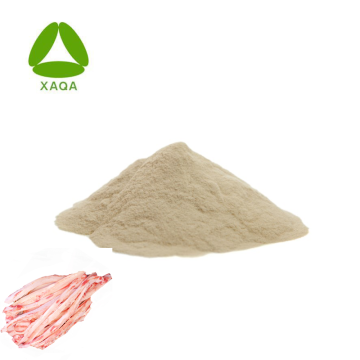 Supplement Shark Bone Extract Chondroitin Sulfate 90% Powder