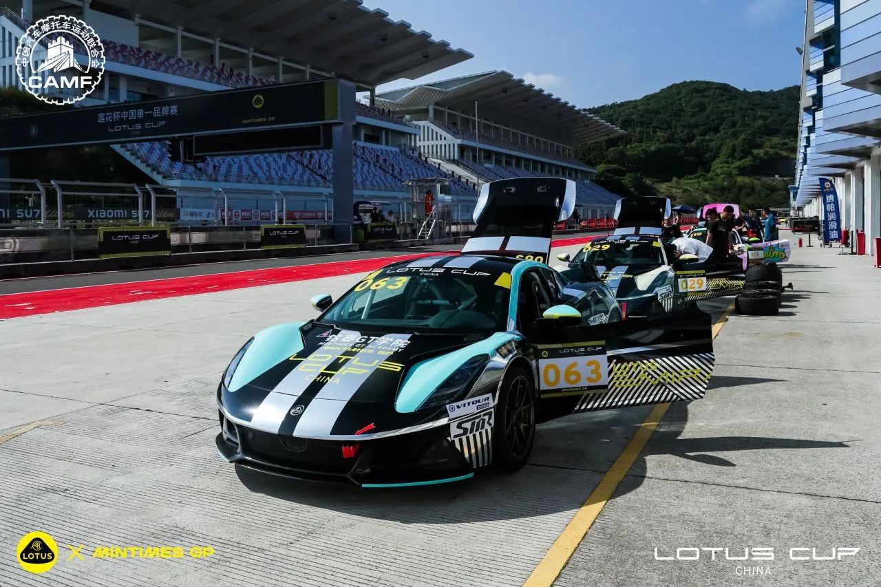 LOTUS Cupb8