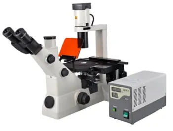 Inverted Biological Microscope