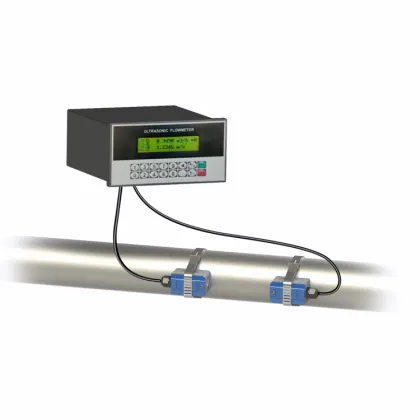 Panel mounting ultrasonic clamping on liquid flow meter