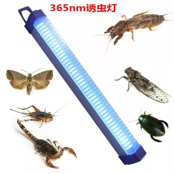 Inseto de carregamento ao ar livre atraindo lâmpada