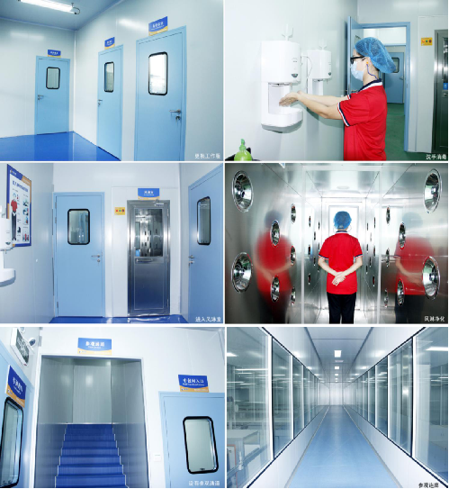 GMP standard workshop1