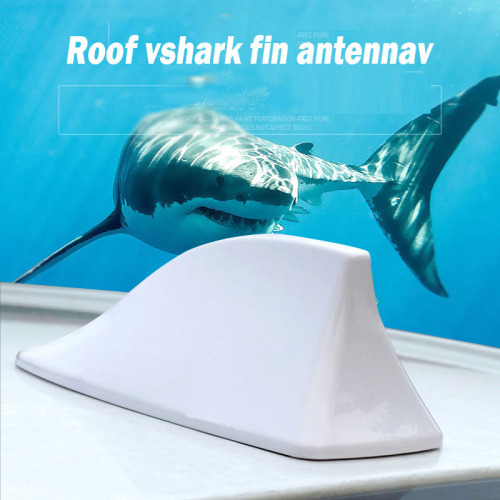 Teto traseiro traseiro de tubarão de tubarão grátis antena