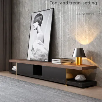 Nordic Stainless Steel Walnut Color Storage TV Stand