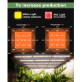 Sistema hidropónico que cultiva luz LED para jardín vertical