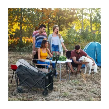 Wholesale Heavy Duty Folding Wagon for Camping and Beach