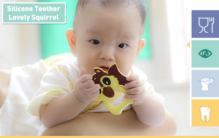 squirrel teething toys