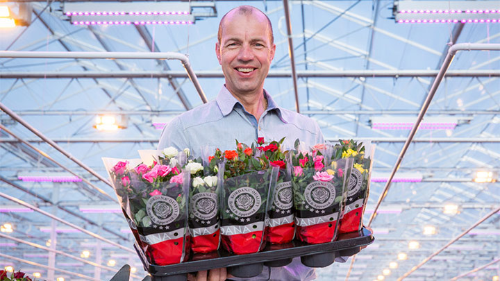 Leo-van-der-Harg-greenhouse-lighting-720 Leo-van-der-Harg-greenhouse-lighting-720