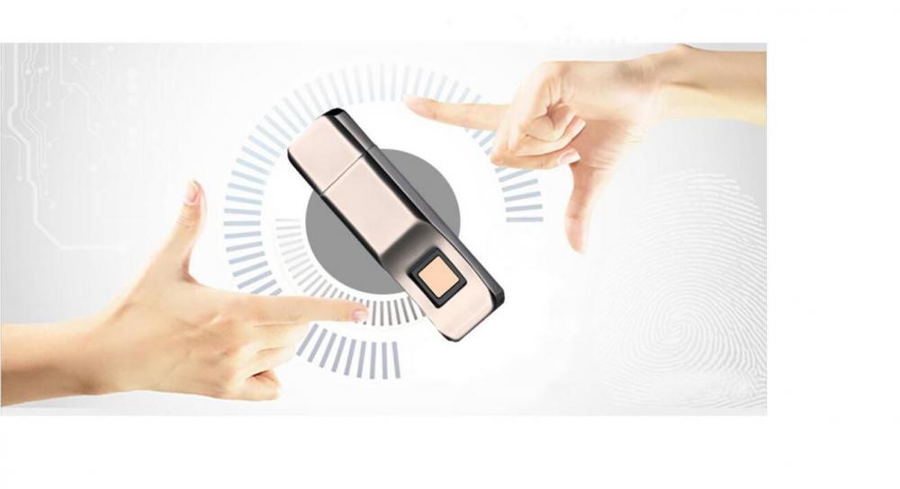 Impronta digitale Flash U drive