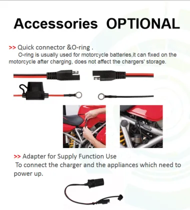 Automatic 10A Charger for Lithium-ion Batteries