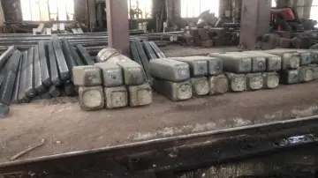 Forged Stainless Steel Valve Bodies