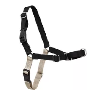 Dog Harness