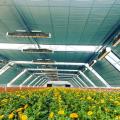 Led growshop met set-up van topkwaliteit