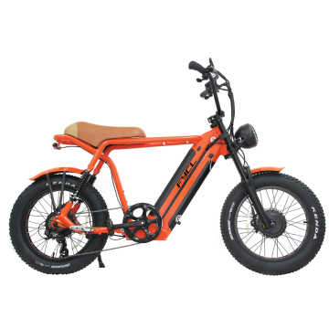 Di buona qualità Motore di bici elettrico da 500 W 20x4,0 pollici con batteria al litio 13 ah e telaio in alluminio colorato