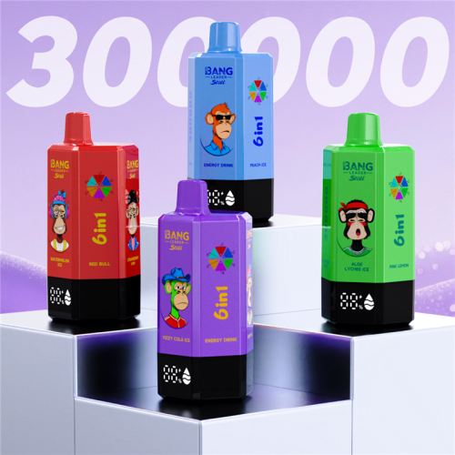 BANG LEADER Stoll 300000 Puffs 6 Flaovr Vape