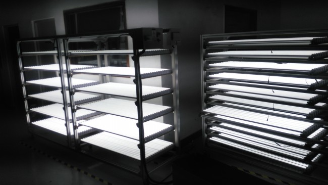 1800lm 18W T8 LED Tube Light