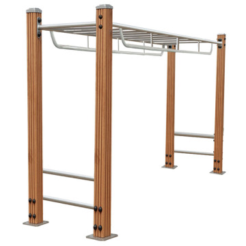 Scaling Ladder(S004)