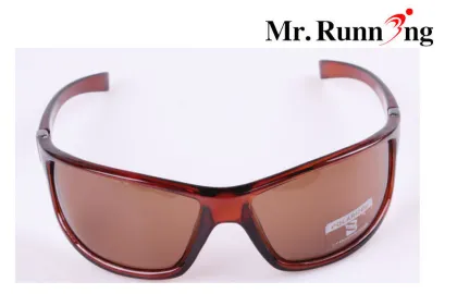 Clear Amber Frame Womens Fashion Sunglasses Design As Police