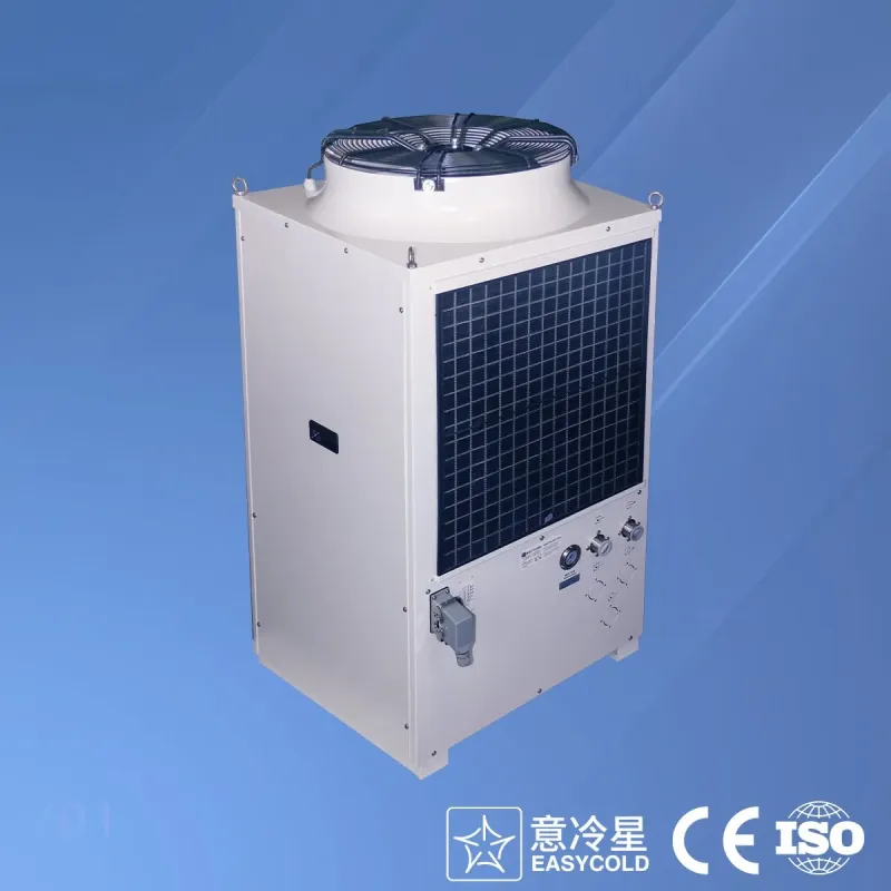 Factory Direct Supplier Cooling System Cold Plunge Tub Chiller Water Chiller