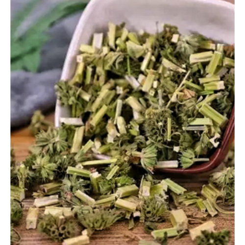 Pure Leonurus Japonicus Extract for Stress Relief and Relaxation