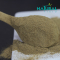 Травяной экстракт 50% Bacoside Powder Bacopa Monnieri Extract