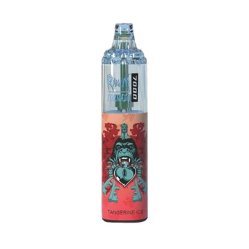 RandM Tornado 7000 Puffs Disposable Rechargeable Vape