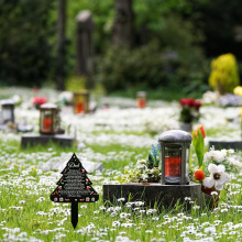 Indicatore di terra in metallo della memoria del cimitero