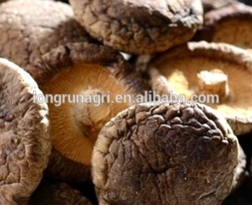 Best Selling Dried Smooth Lentinus Edode For French Cuisine