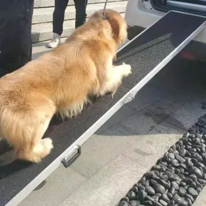 Used Motorcycle Ramps Multifunction PR001 - Easy to Use Motorcycle Sliding Ramp at a Low Price