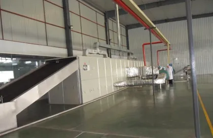DWVF Multi-Belt Dryer