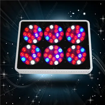 Apollo led grow light