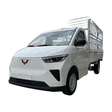 Wuling Zhiyue Yangguang Electric Cargo Truck (High Roof)