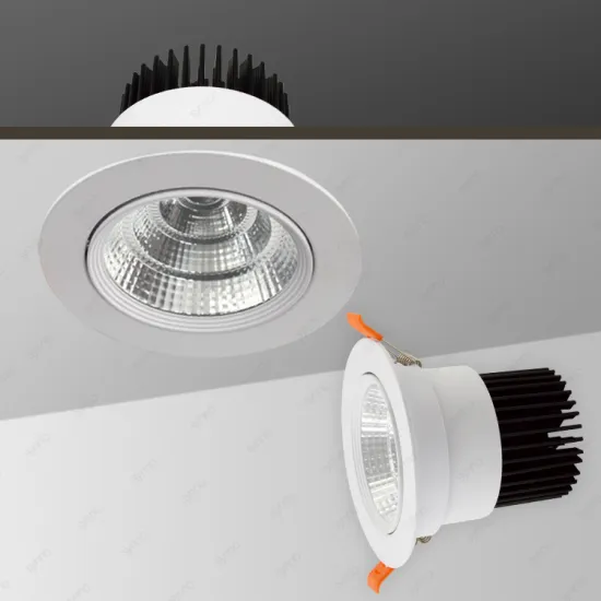 Recessed LED Spotlight Indoor Ceiling Round COB Downlight