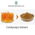 Cordyceps Extract Powder for Energy and Endurance Boost