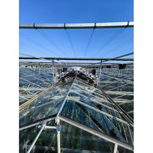 External Shade Cleaner Equipped Greenhouse