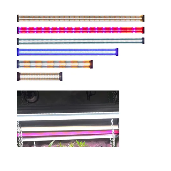 Commercial LED Grow Light for Lettuce and Plant Growth in Indoor Greenhouses