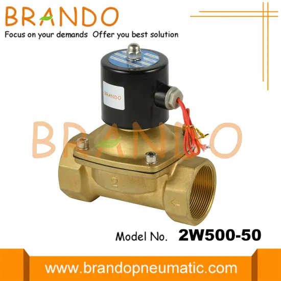 2W500-50 2'' Brass Solenoid Valve 12VDC 24VDC 220VAC