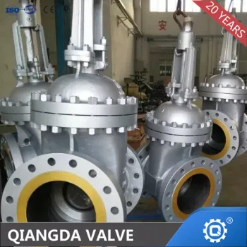 CF3M Stainless Steel Gate Valve