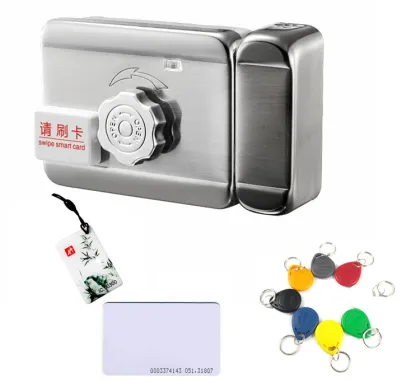 Outdoor RFID Access Control Gate Lock for Residential Buildings: Smart Security Solution